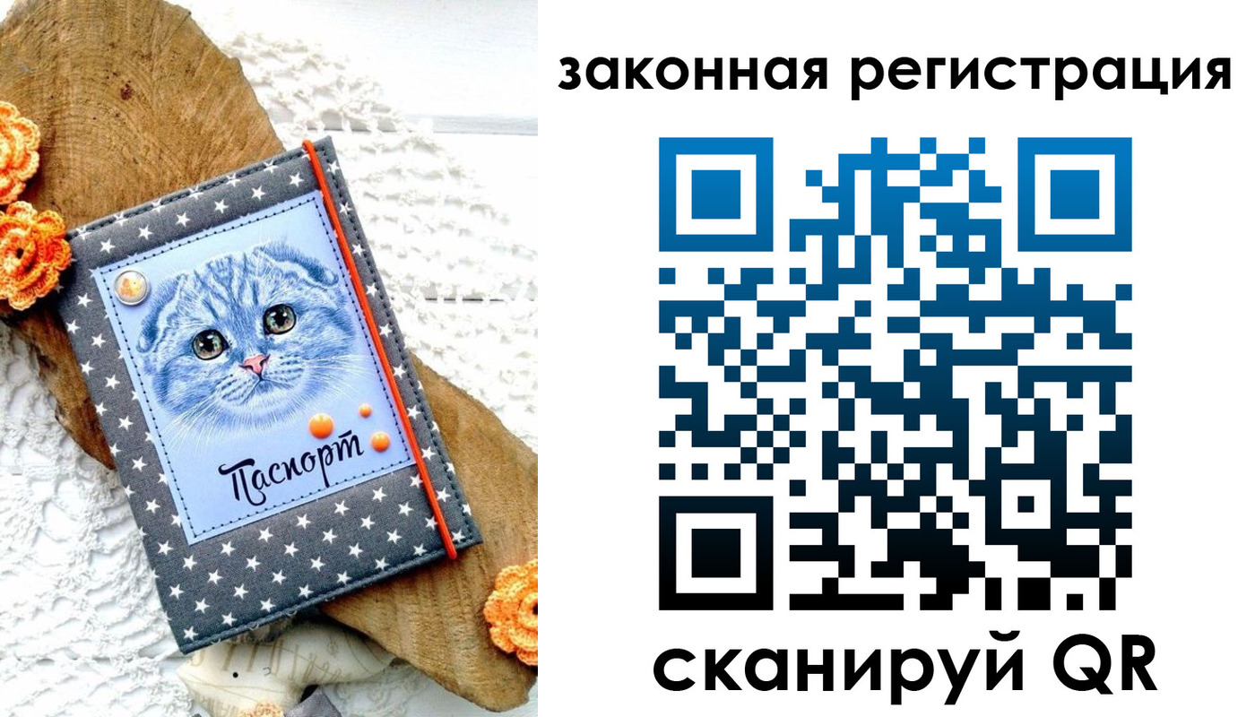 регистрация в Курске